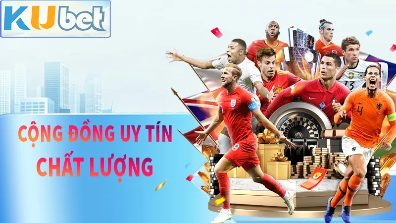 Cộng đồng chất lượng, BLV chuyên nghiệp
