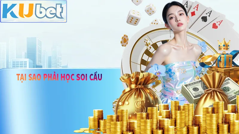 Tại sao chúng ta phải học cách xem cầu